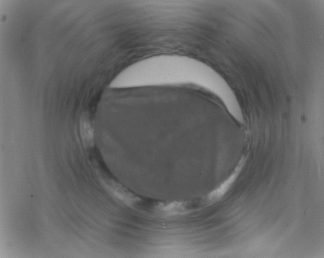 X0000076450186200610271833