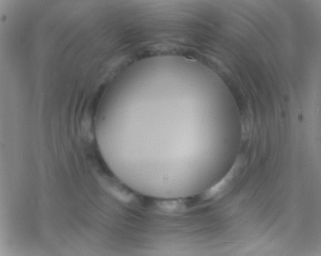 X0000076450187200610271833