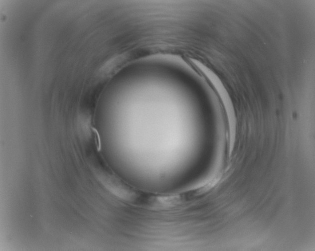 X0000076450188200610271833