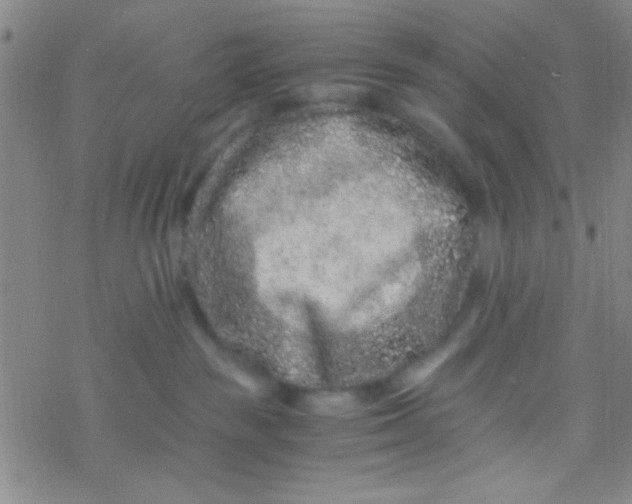 X0000076450189200610271833