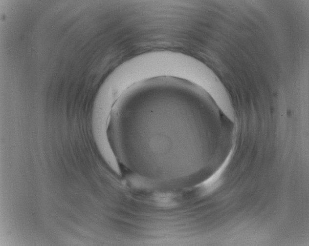 X0000076450190200610271833