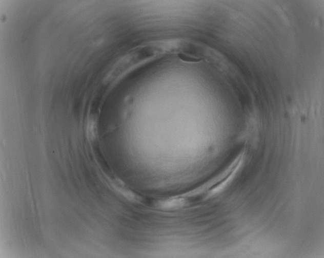 X0000076450191200610271833