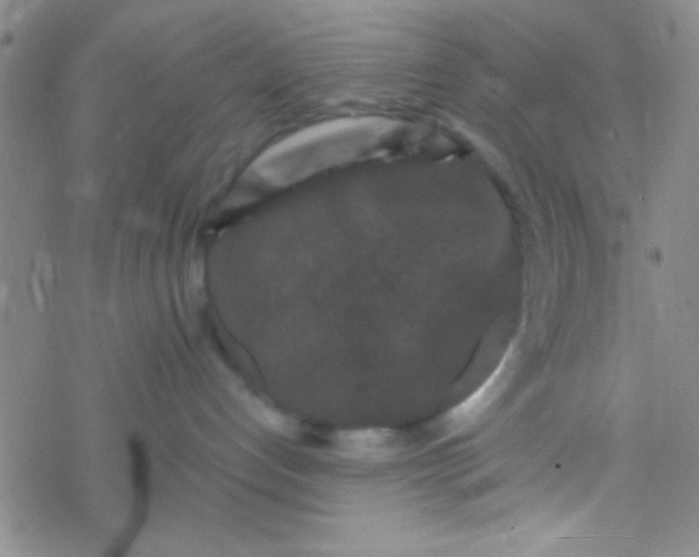 X0000076450192200610271833