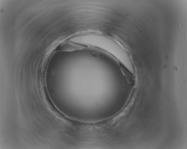 X0000076450193200610271832