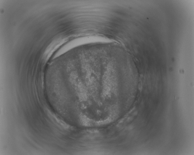 X0000076450194200610271832