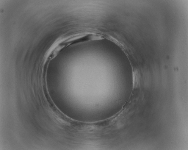 X0000076450195200610271832