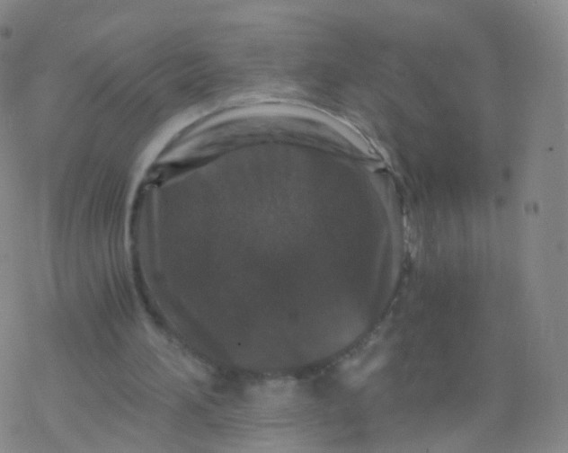 X0000076450196200610271832