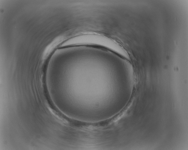 X0000076450197200610271832