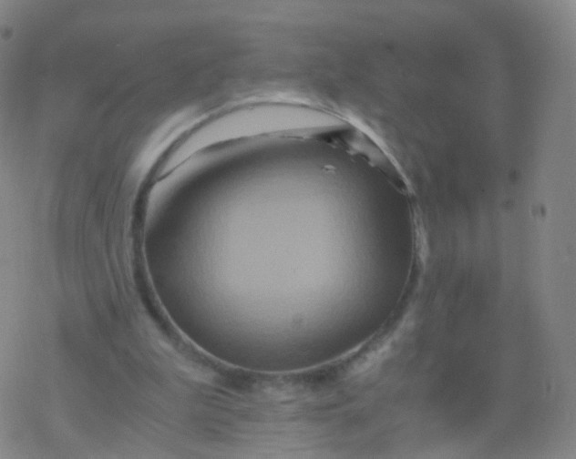 X0000076450199200610271832