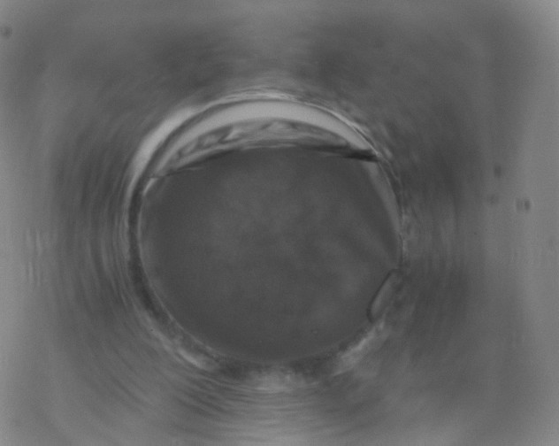 X0000076450200200610271832