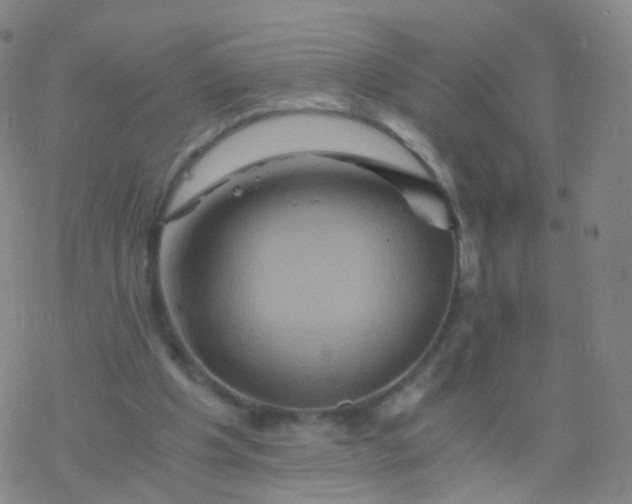 X0000076450201200610271832