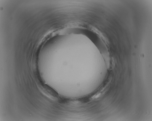 X0000076450203200610271832