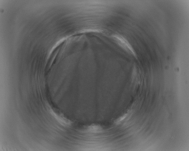 X0000076450204200610271832