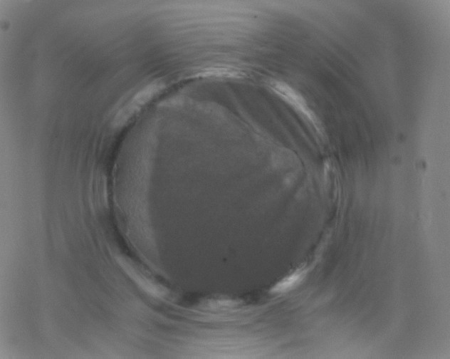 X0000076450205200610271832