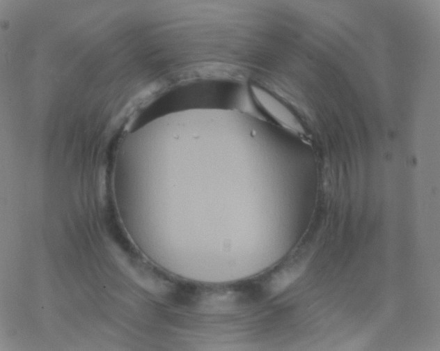 X0000076450206200610271832