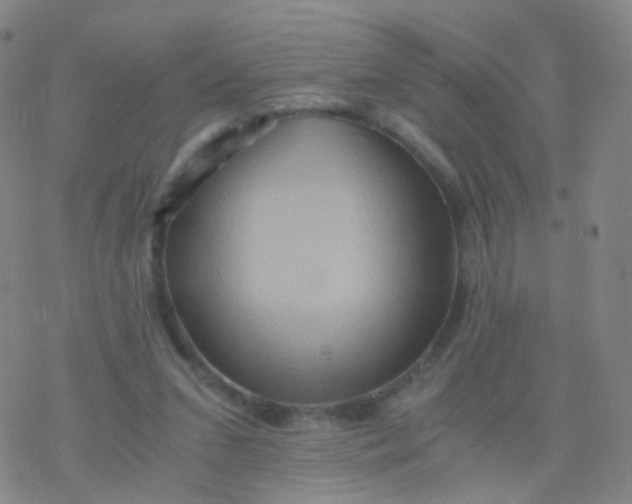 X0000076450207200610271832