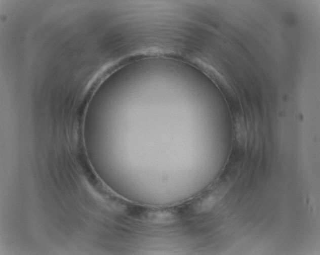 X0000076450208200610271832