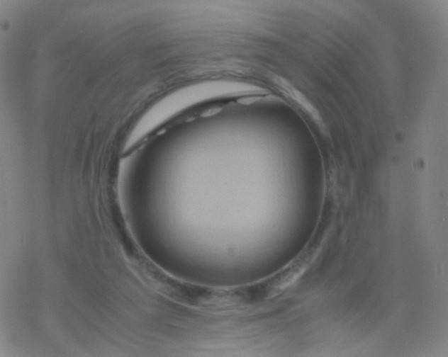 X0000076450209200610271832