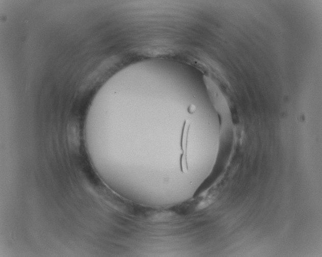 X0000076450210200610271832