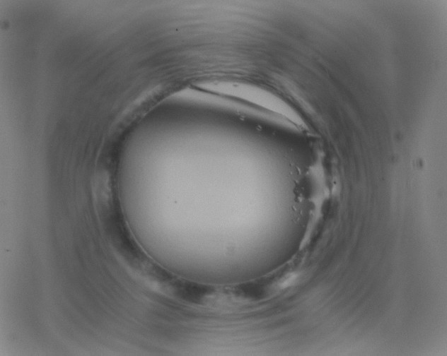 X0000076450211200610271832