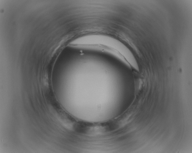 X0000076450212200610271832