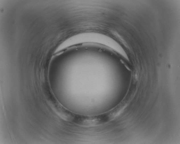 X0000076450213200610271832