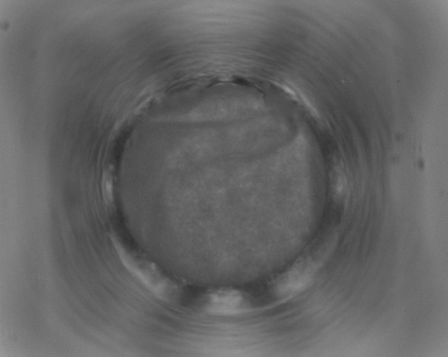 X0000076450214200610271832