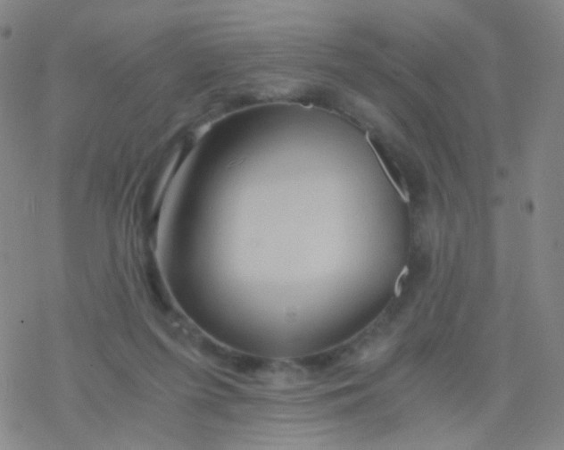 X0000076450215200610271832