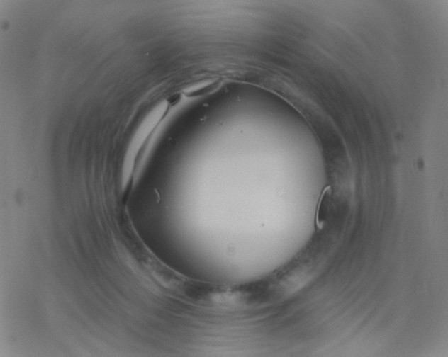 X0000076450216200610271832