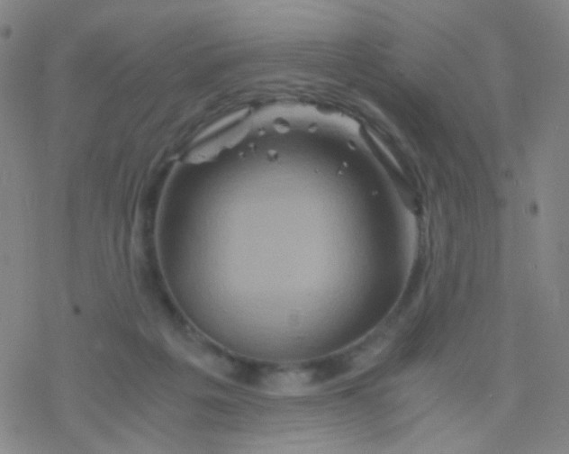 X0000076450217200610271832