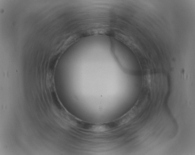 X0000076450218200610271832