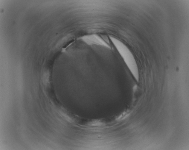 X0000076450219200610271832