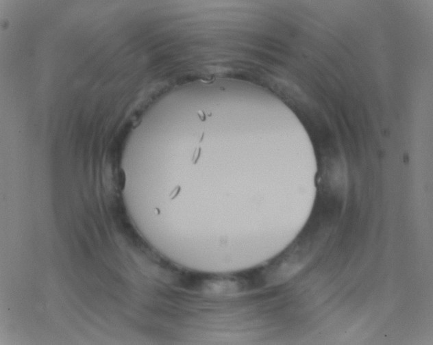 X0000076450220200610271832