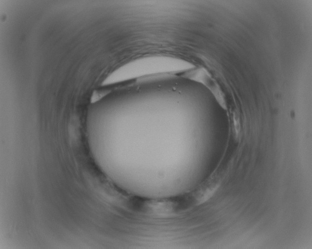 X0000076450221200610271832