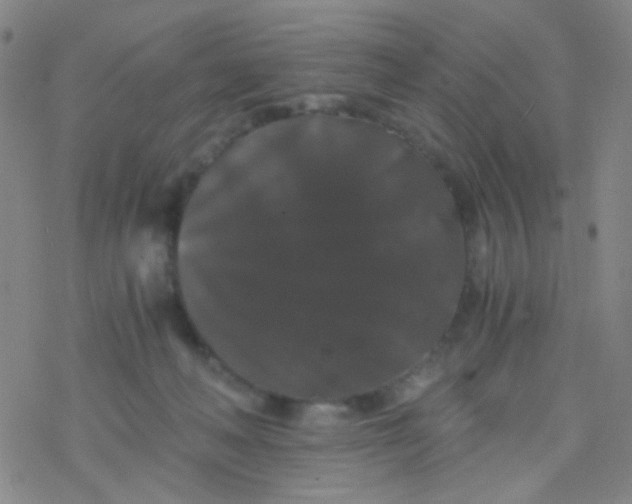 X0000076450222200610271832