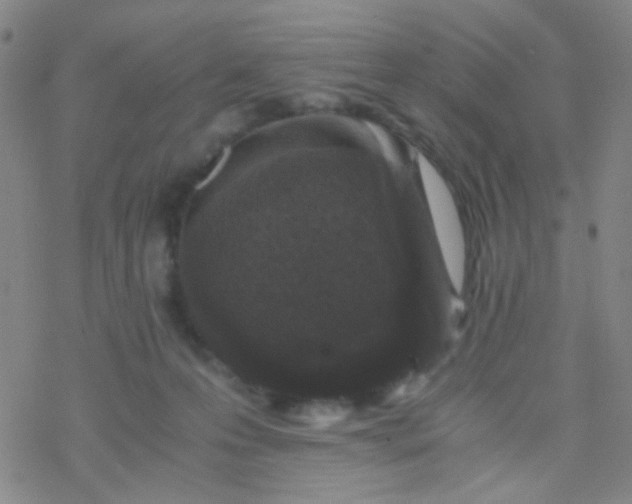 X0000076450223200610271832