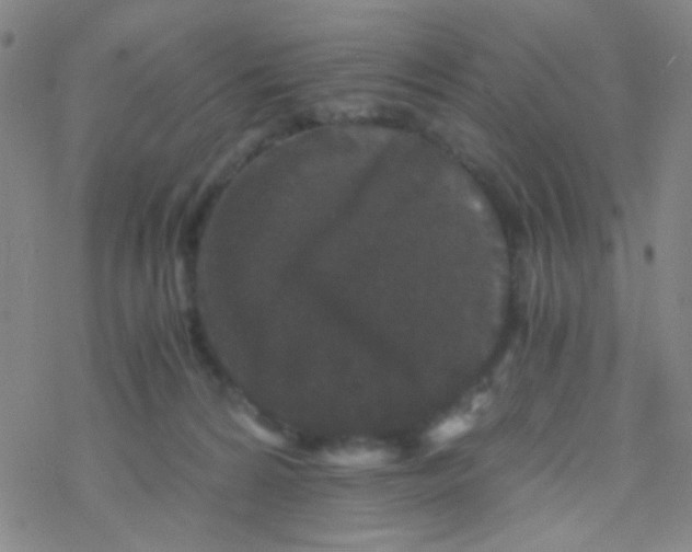 X0000076450224200610271832