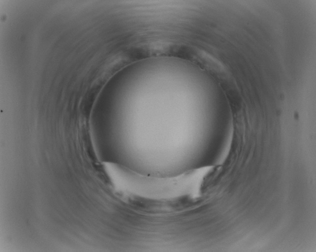 X0000076450225200610271832