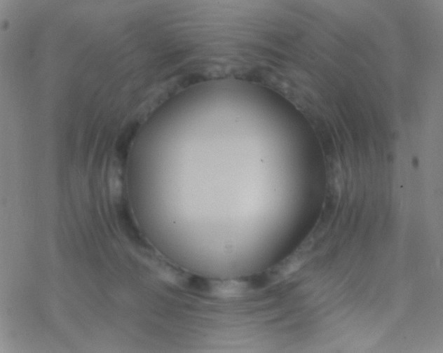 X0000076450226200610271832