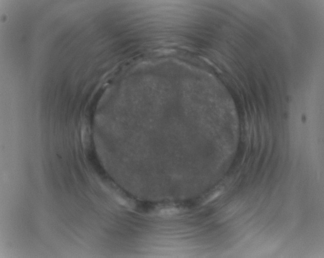 X0000076450228200610271832