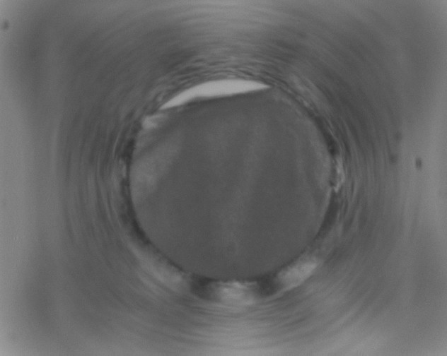 X0000076450229200610271832