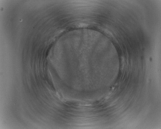 X0000076450230200610271832