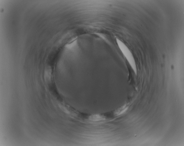 X0000076450231200610271832