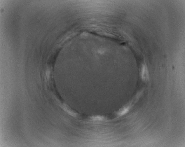 X0000076450233200610271832