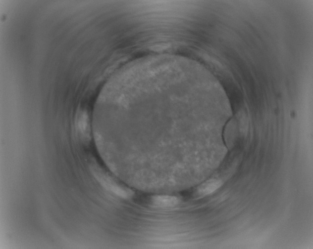 X0000076450234200610271832