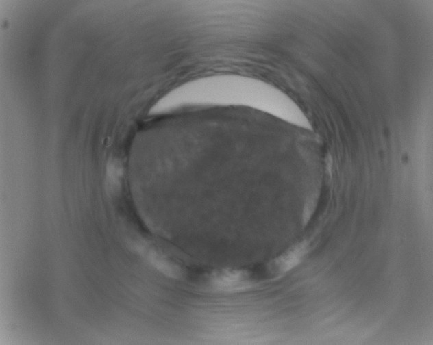 X0000076450235200610271832