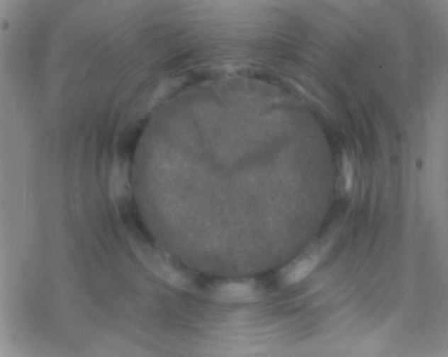 X0000076450236200610271832