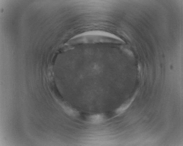 X0000076450237200610271832