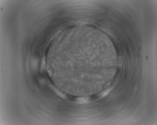 X0000076450238200610271832