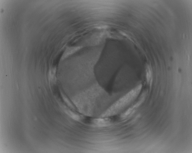 X0000076450239200610271832